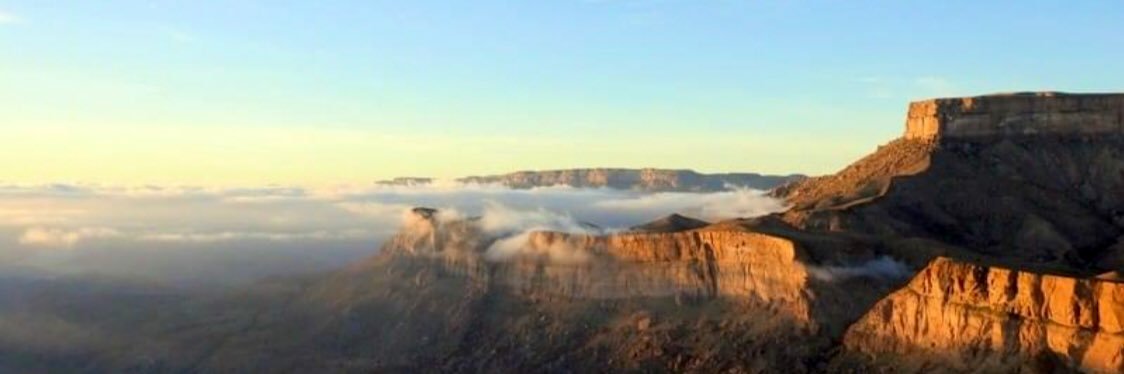 متعب السيباني banner