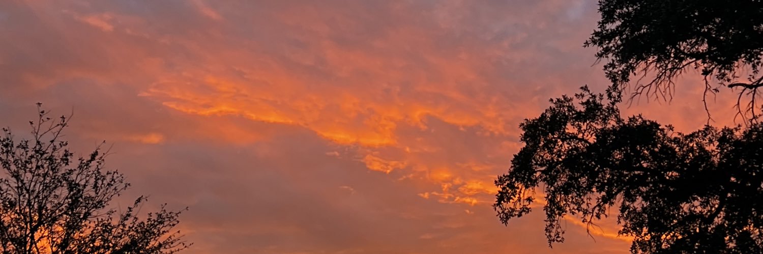 daillinperez's profile banner image