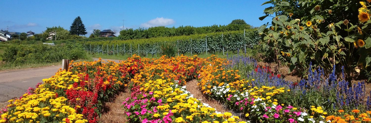 Cyclovineyard1's profile banner image