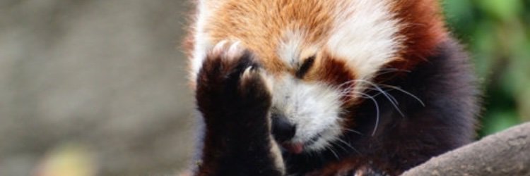 isa_solberg's profile banner image
