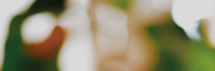 N_AlGannas's profile banner image