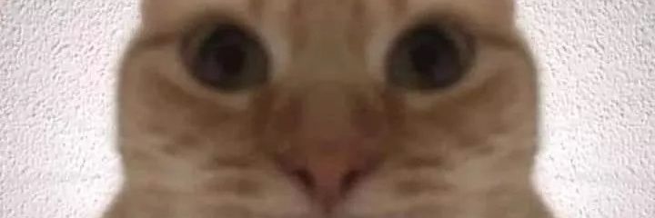 0x10F2C_'s profile banner image