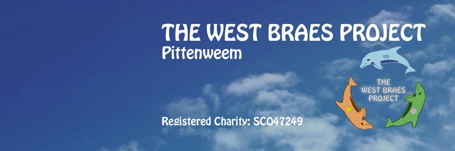 TheWestBraes's profile banner image
