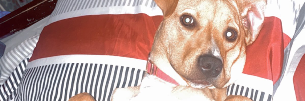 ♣️Amanda Michelle♣️ banner