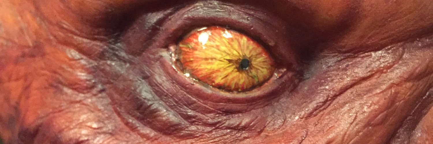 Corruptbydesign's profile banner image