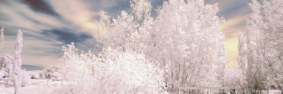 mic_mec's profile banner image