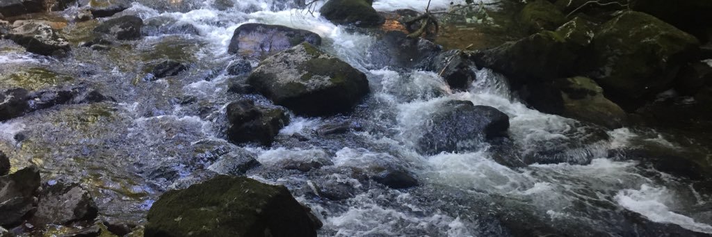 katedegrey's profile banner image