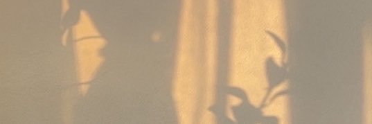 NODB_'s profile banner image