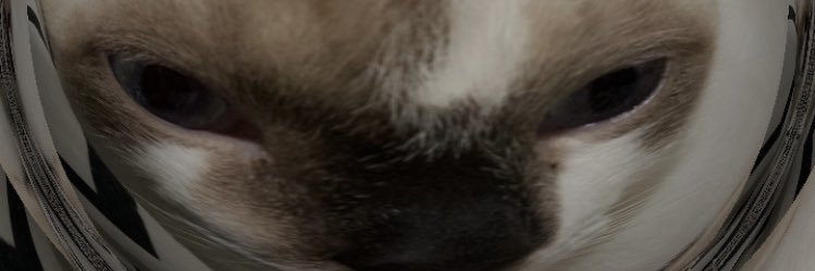 Moraeszin_'s profile banner image
