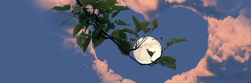 asvptrap's profile banner image
