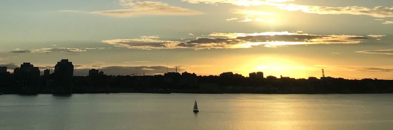 warmgulfwind's profile banner image