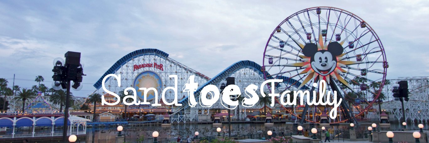 SandToes Family banner