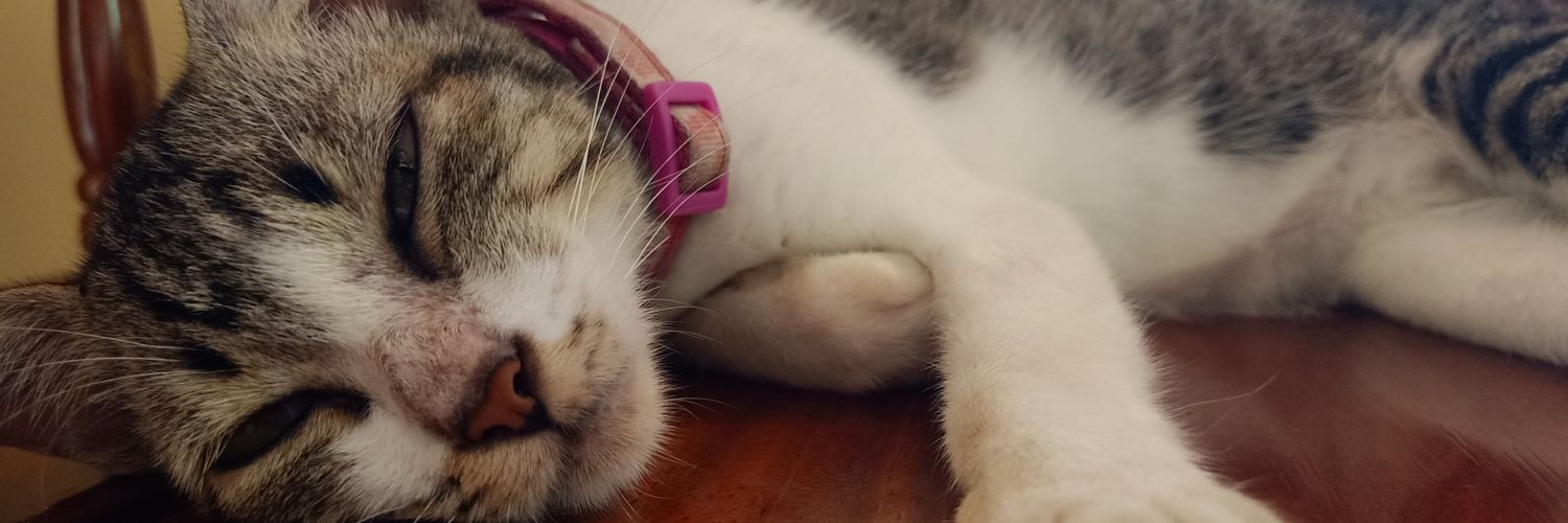 kiierstenj's profile banner image