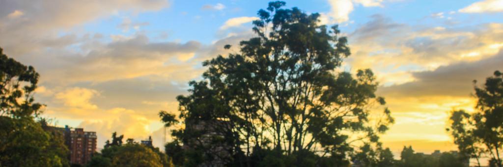 nicolas_gallery's profile banner image