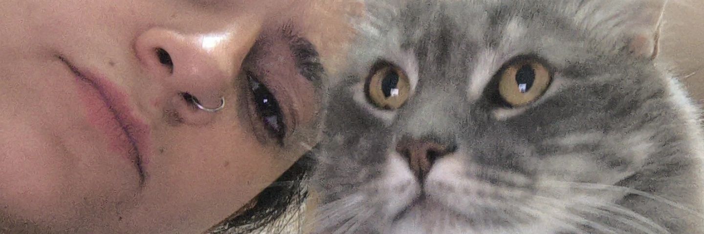 romaramirezl's profile banner image