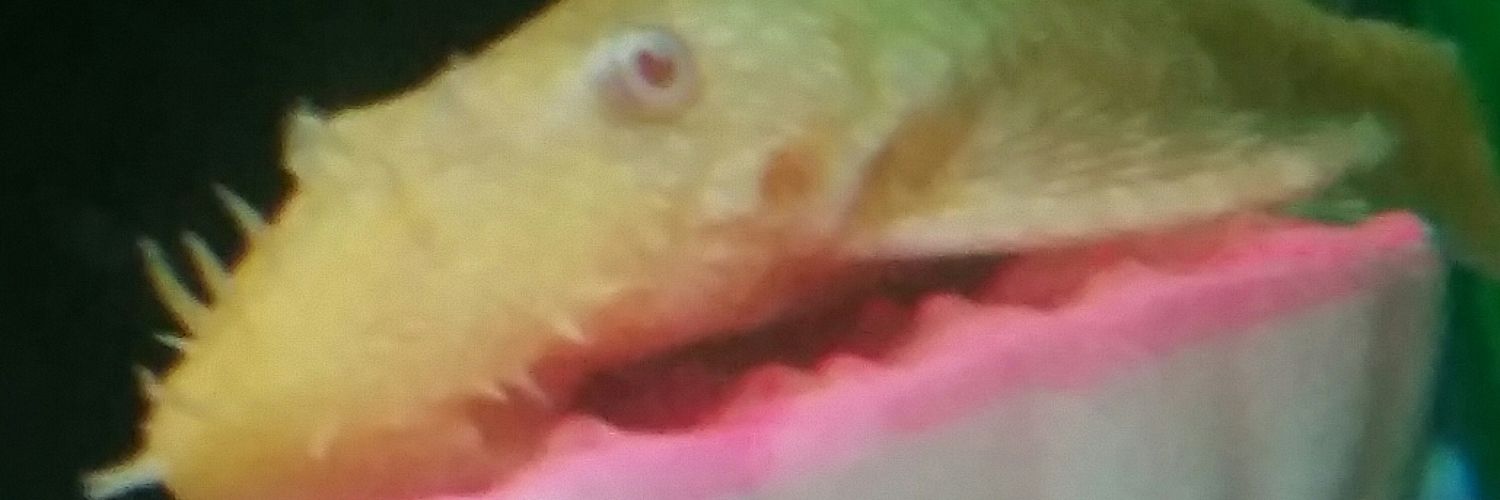OMichile's profile banner image