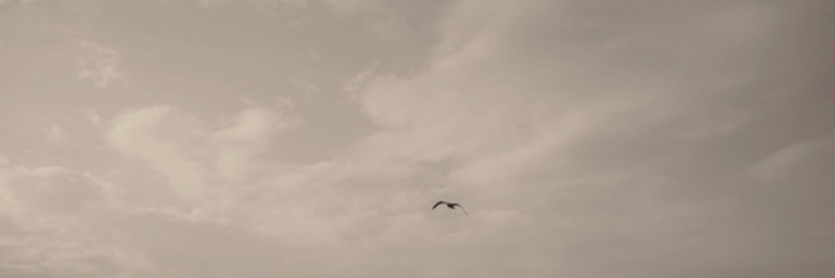 B_T_Shadow's profile banner image