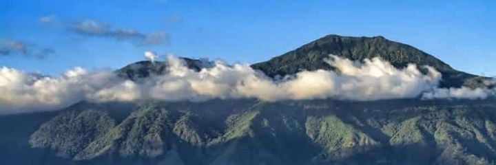 fdesousa82's profile banner image