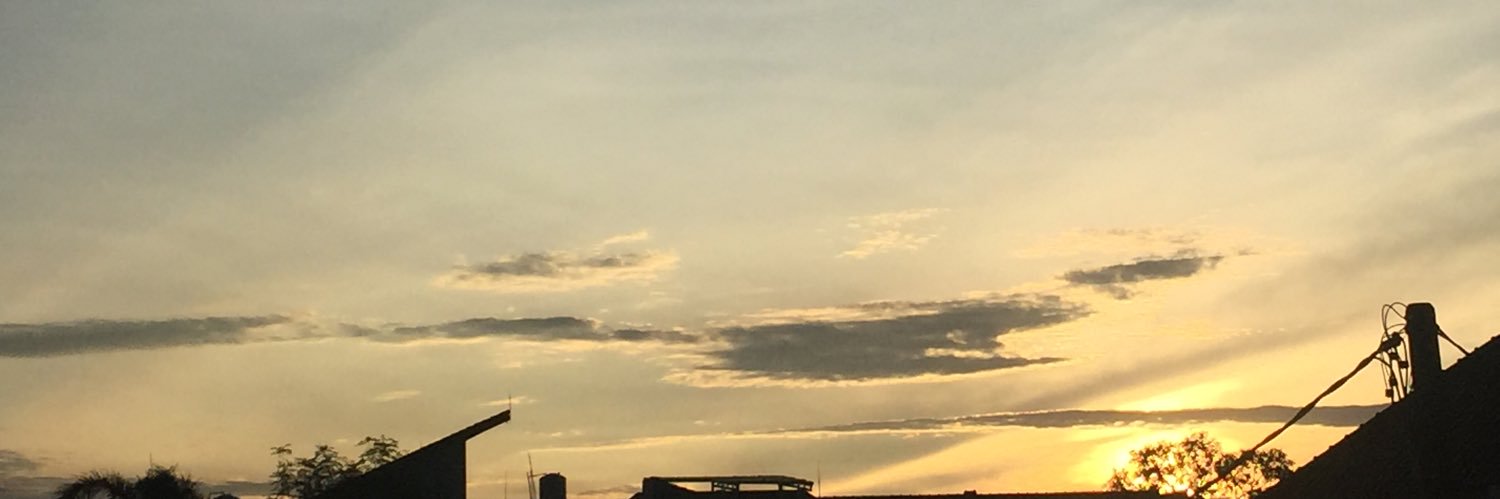 lemingey's profile banner image