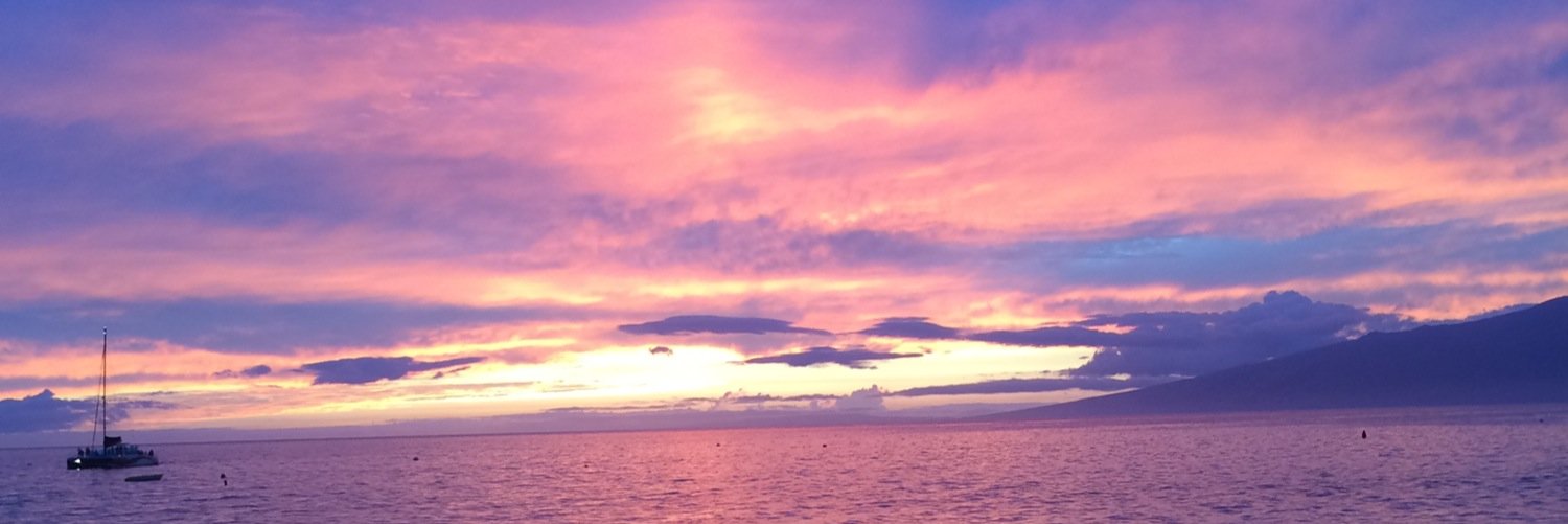 taylor_pasqua18's profile banner image