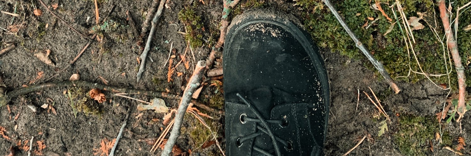 SageLuzzi's profile banner image
