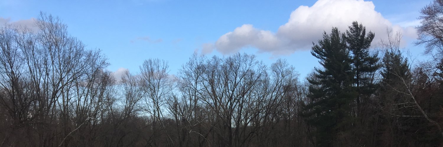 JaneTetch's profile banner image
