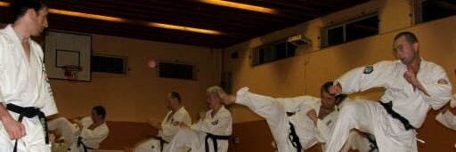 TKyokushin's profile banner image