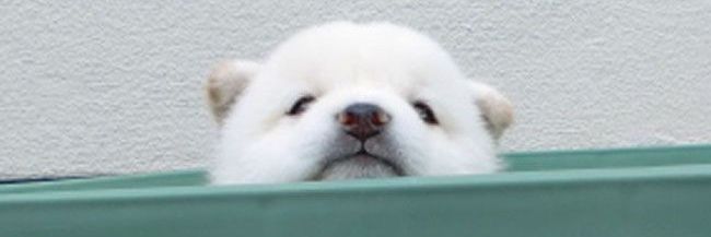 __iLIGHTu's profile banner image