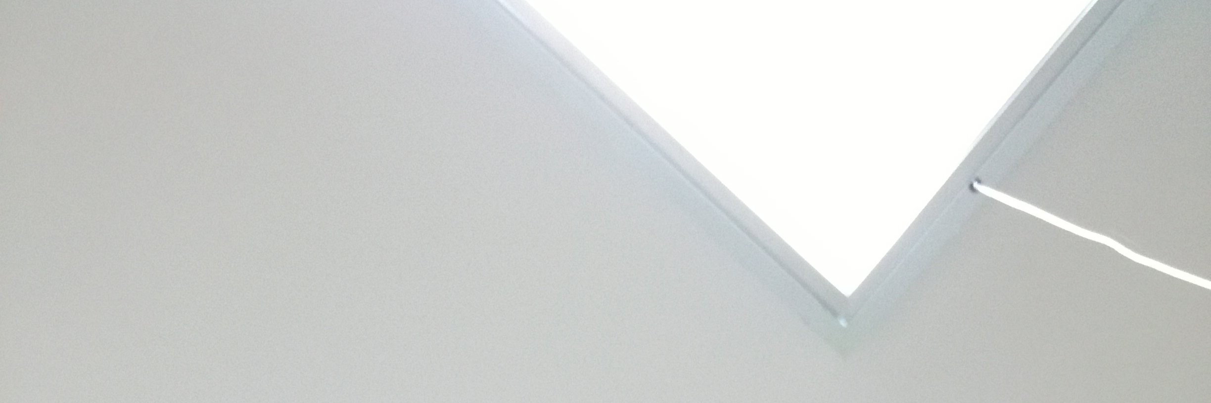 Steve banner