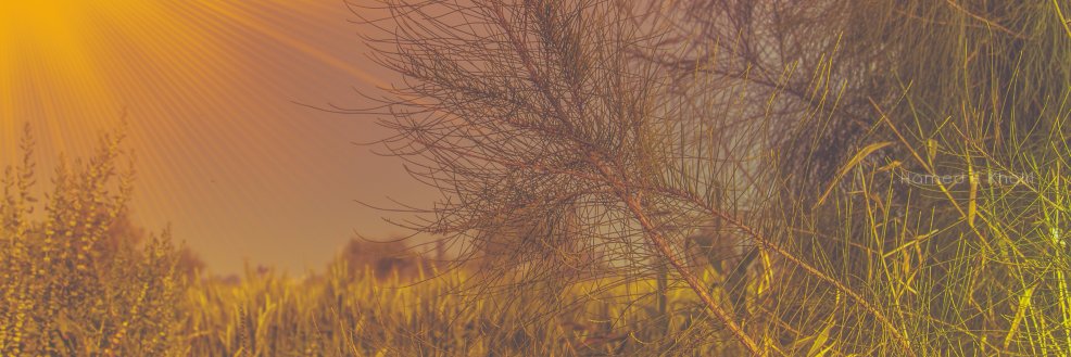 عبدالقادر عبدلي banner