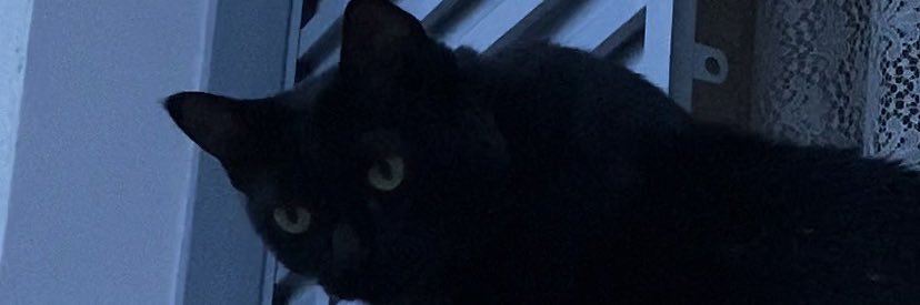 vuitonx's profile banner image