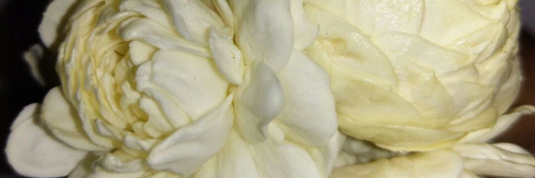 Am_____5512's profile banner image