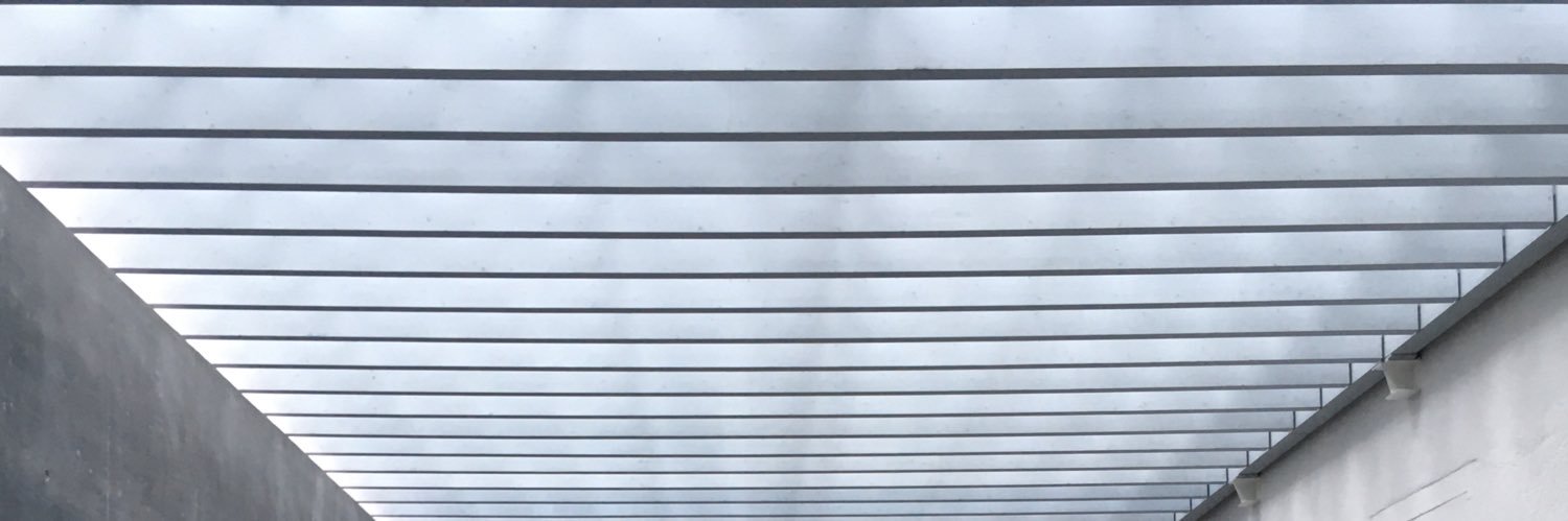 Ronja Scheler banner