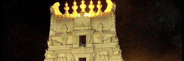 danayya's profile banner image