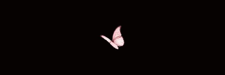 _nomvelo_'s profile banner image