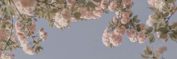 Akio 😺💕 banner