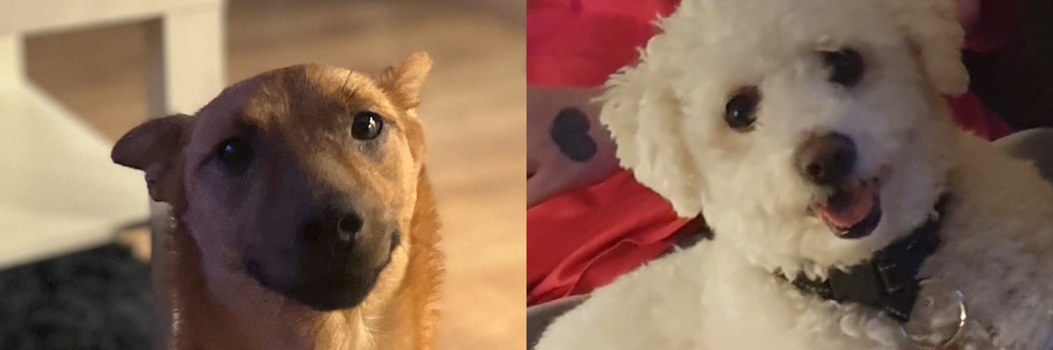milliewheatleyx's profile banner image