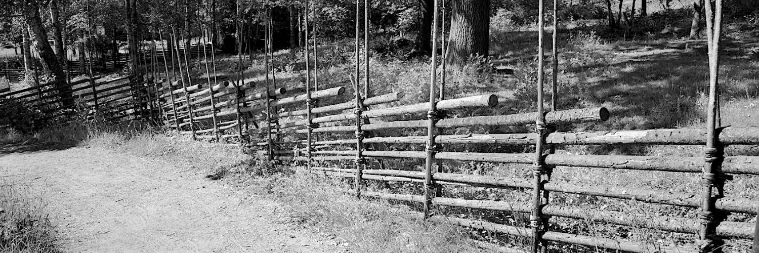 Tobias Thorin banner