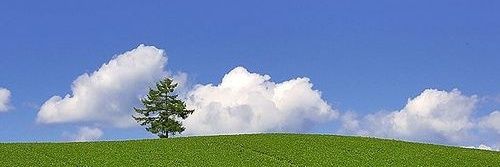 achaee's profile banner image