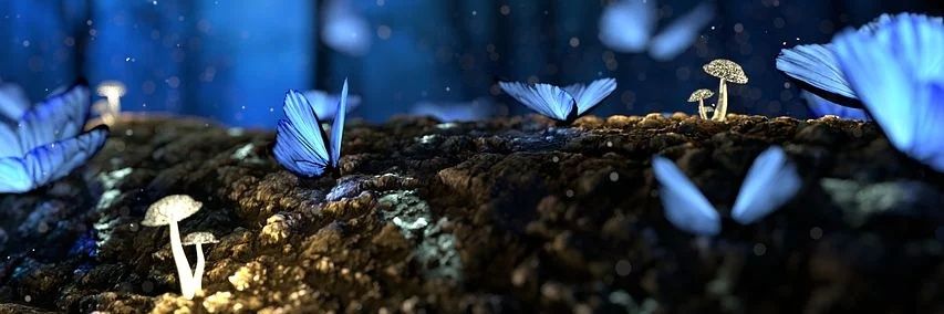 p_atell's profile banner image