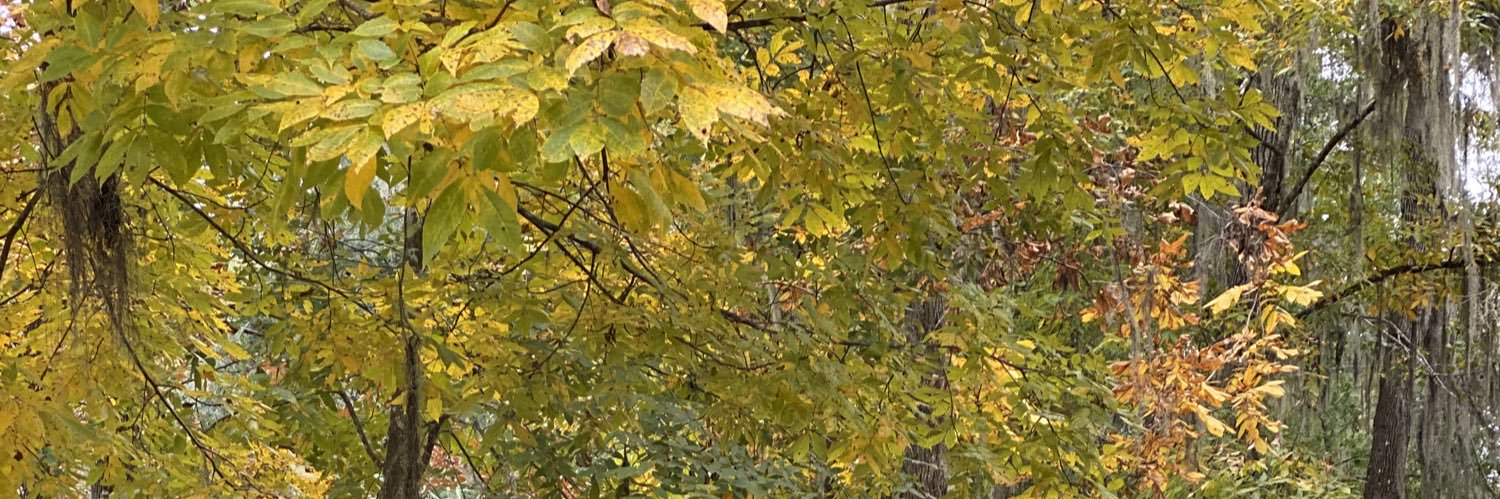 SlipNips_'s profile banner image