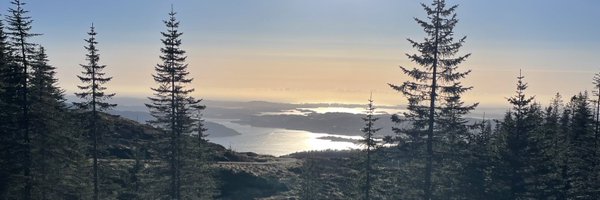 KateDommett Profile Banner