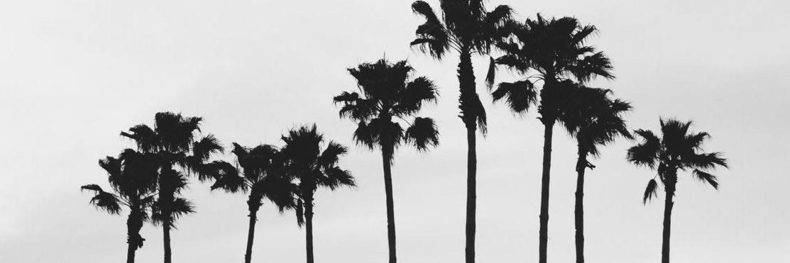 faynnasserr's profile banner image