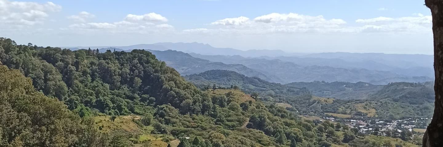 DavidACerdaG's profile banner image