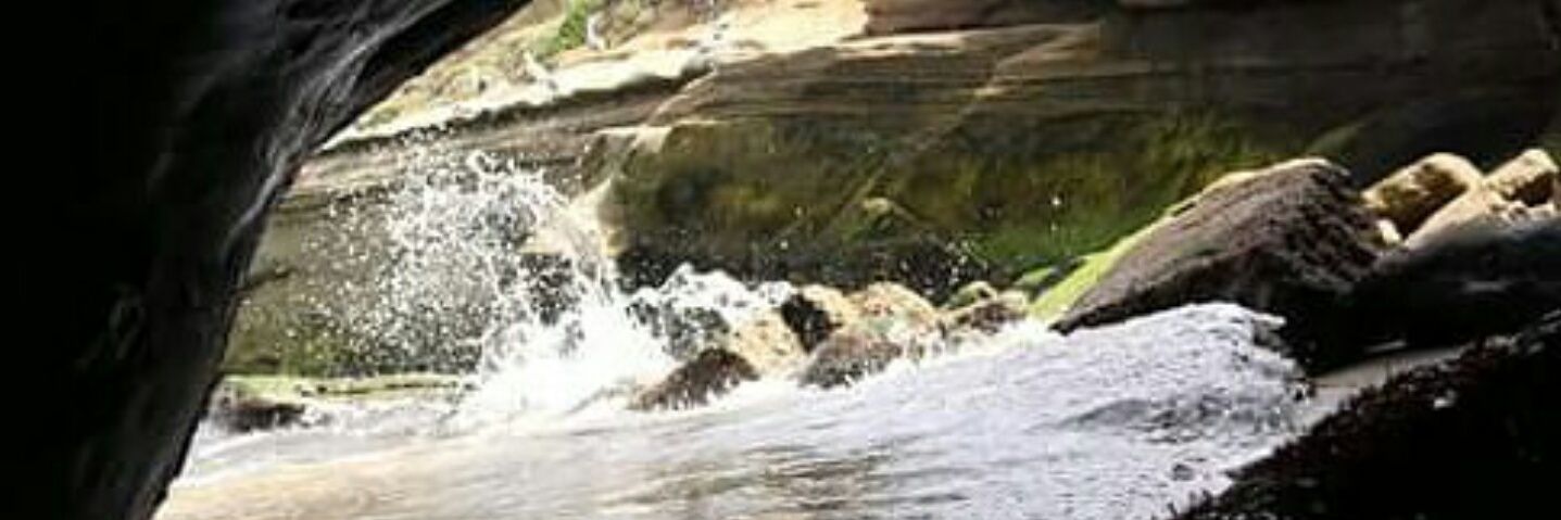 innocentMuch's profile banner image