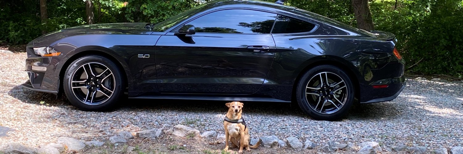 Steve Lachowski banner