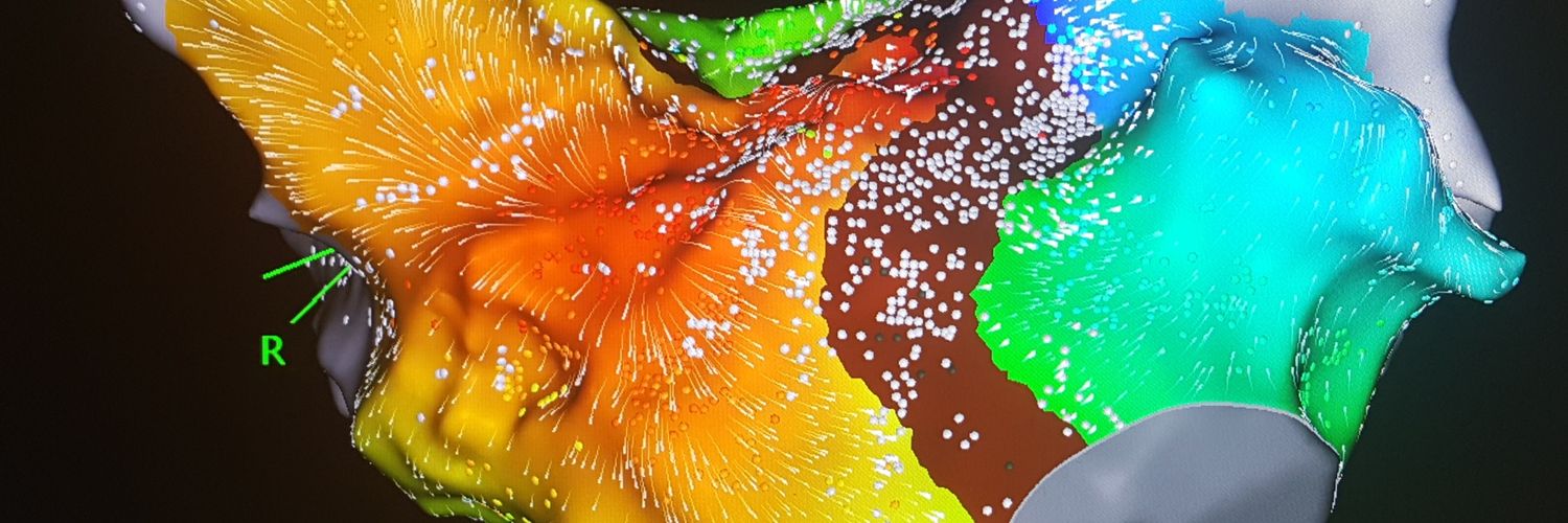 Sotirios Nedios banner