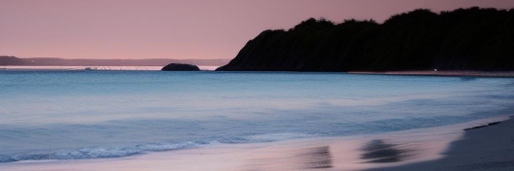 💥•...Beix...•💥 banner