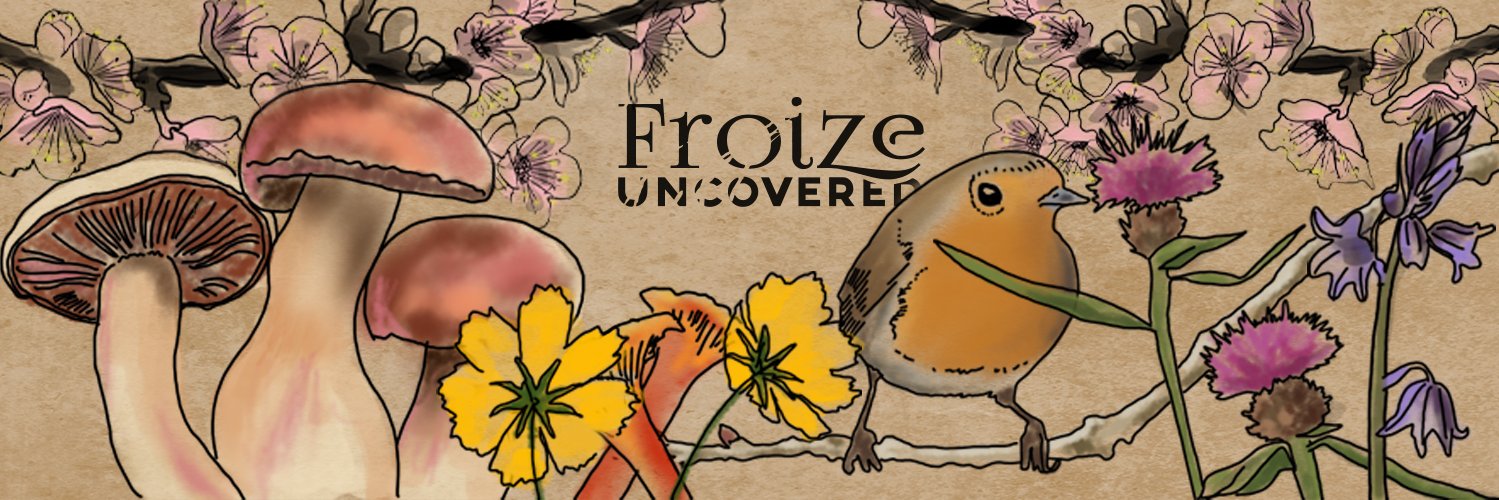 FroizeUncovered's profile banner image