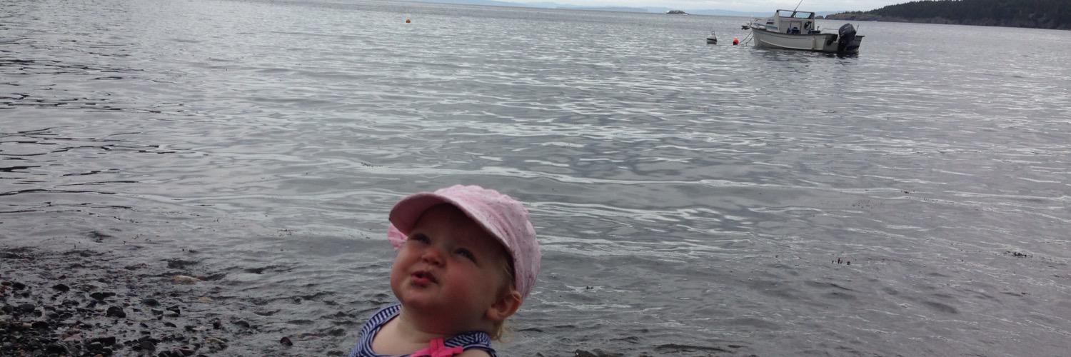 Ms_Costigan's profile banner image